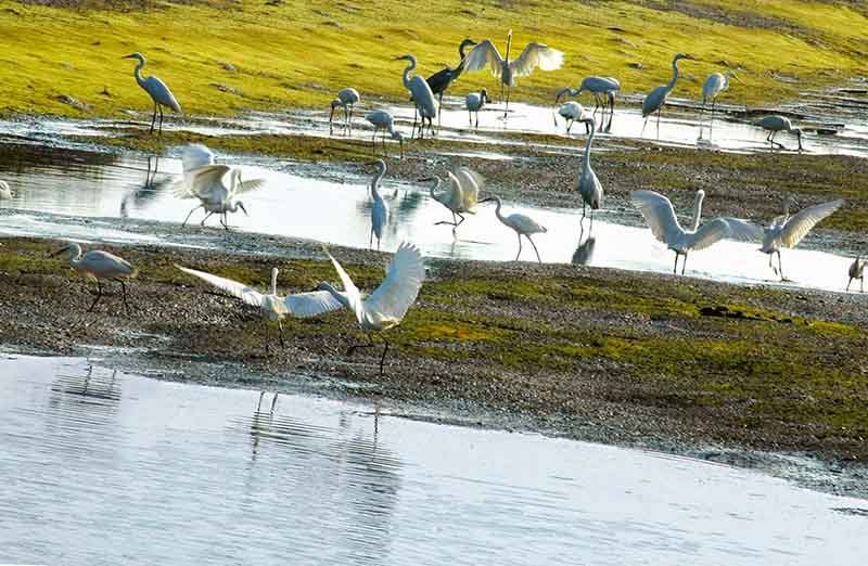 Nam Dinh & Xuan Thuy National Park Eco Bike tour in 2 Days